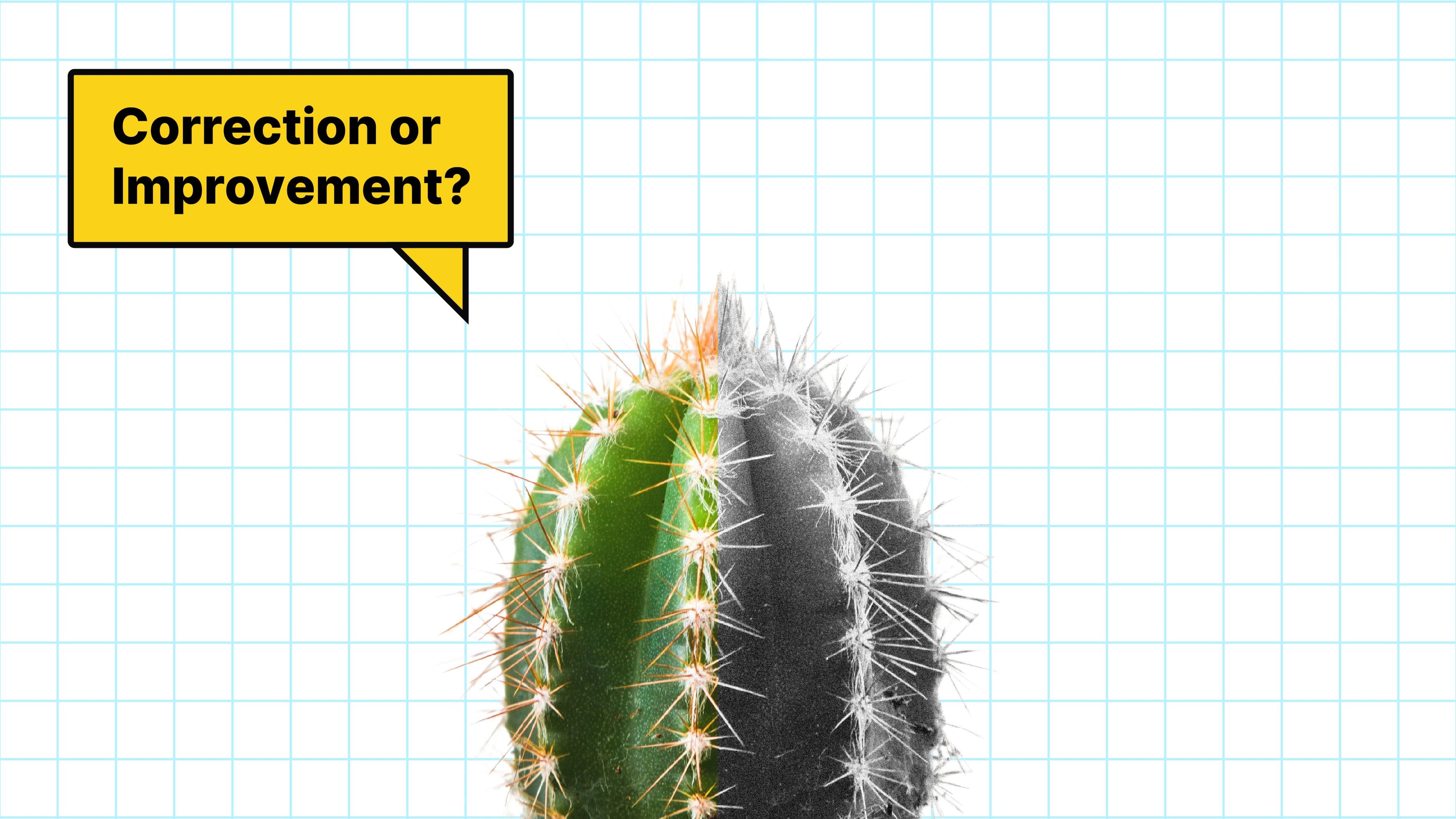 The Key to Transparent and Successful Freelancing